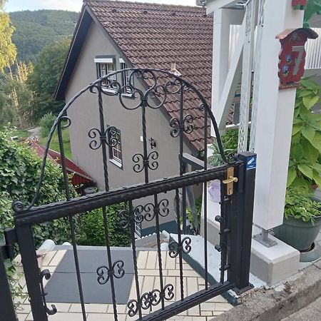 Haus Wiesental Kleines Wiesental エクステリア 写真