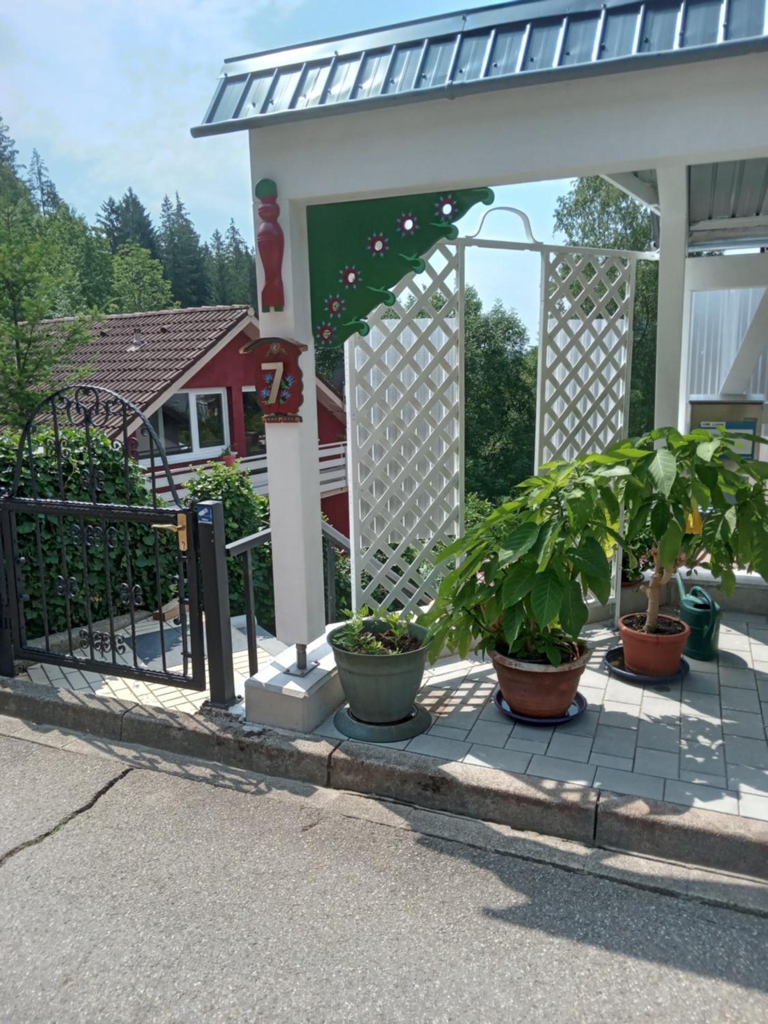 Haus Wiesental Kleines Wiesental エクステリア 写真