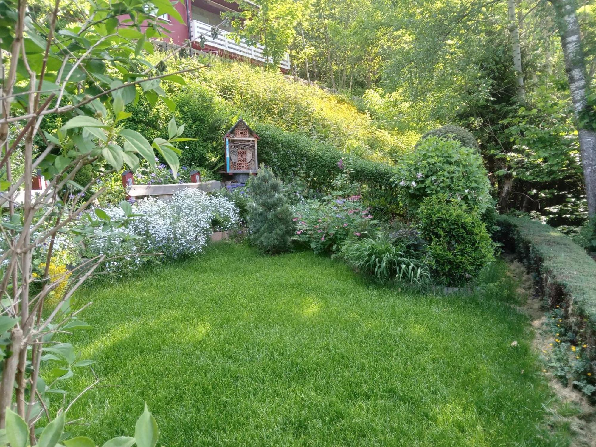 Haus Wiesental Kleines Wiesental エクステリア 写真