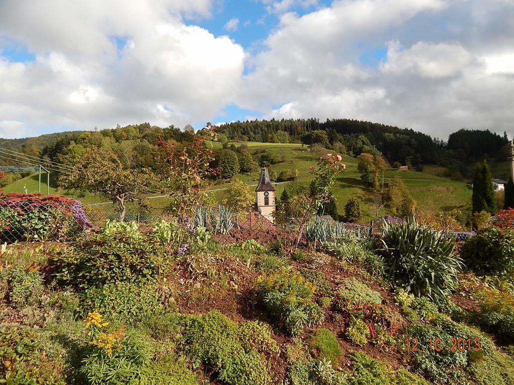 Haus Wiesental Kleines Wiesental エクステリア 写真