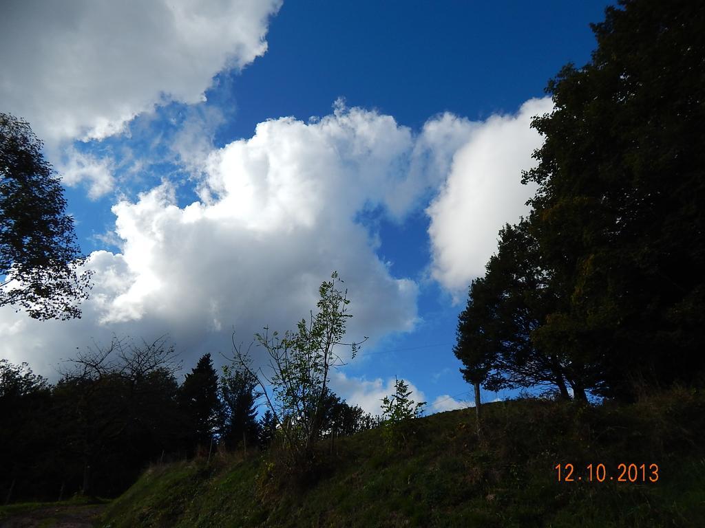 Haus Wiesental Kleines Wiesental エクステリア 写真
