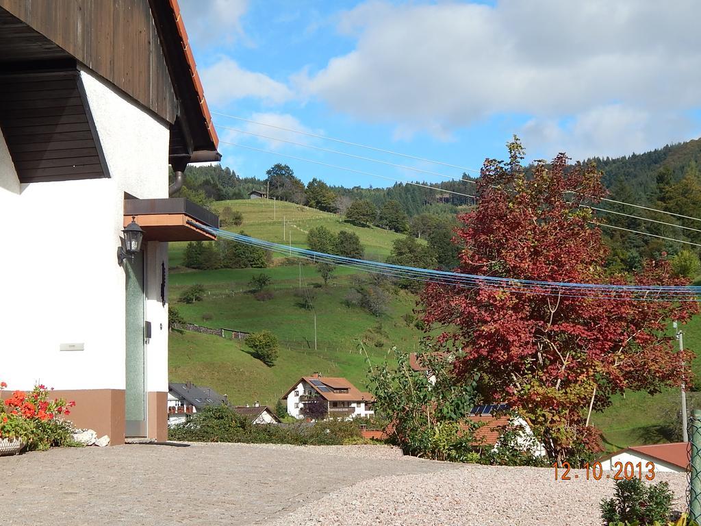 Haus Wiesental Kleines Wiesental エクステリア 写真