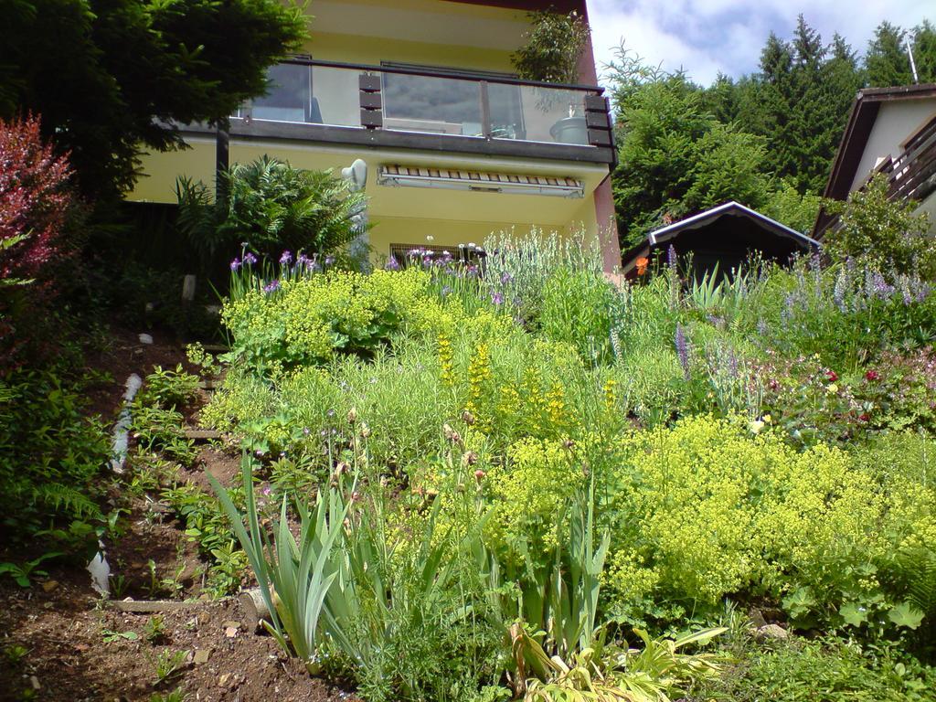 Haus Wiesental Kleines Wiesental エクステリア 写真