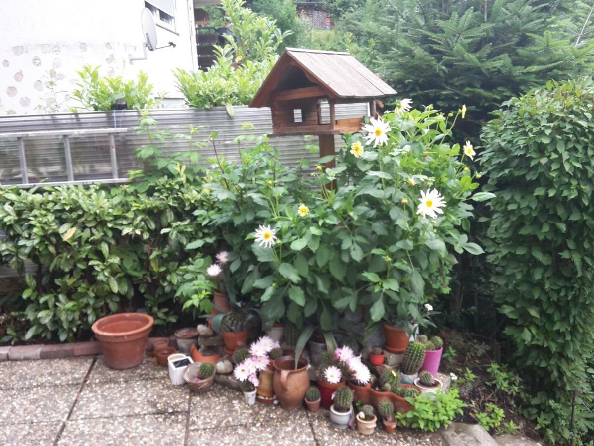 Haus Wiesental Kleines Wiesental エクステリア 写真
