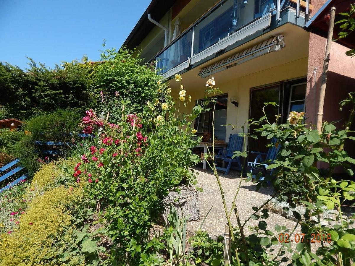 Haus Wiesental Kleines Wiesental エクステリア 写真