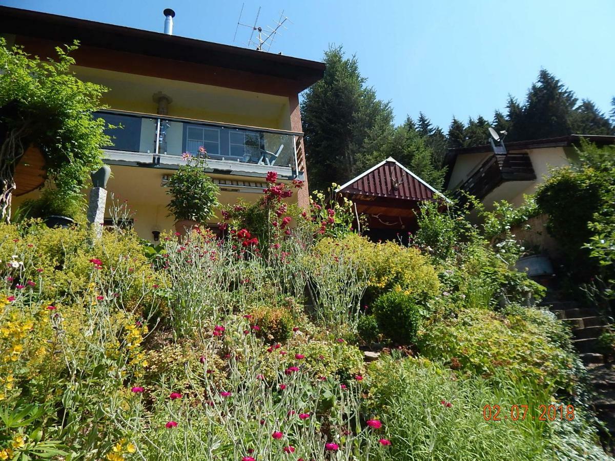 Haus Wiesental Kleines Wiesental エクステリア 写真