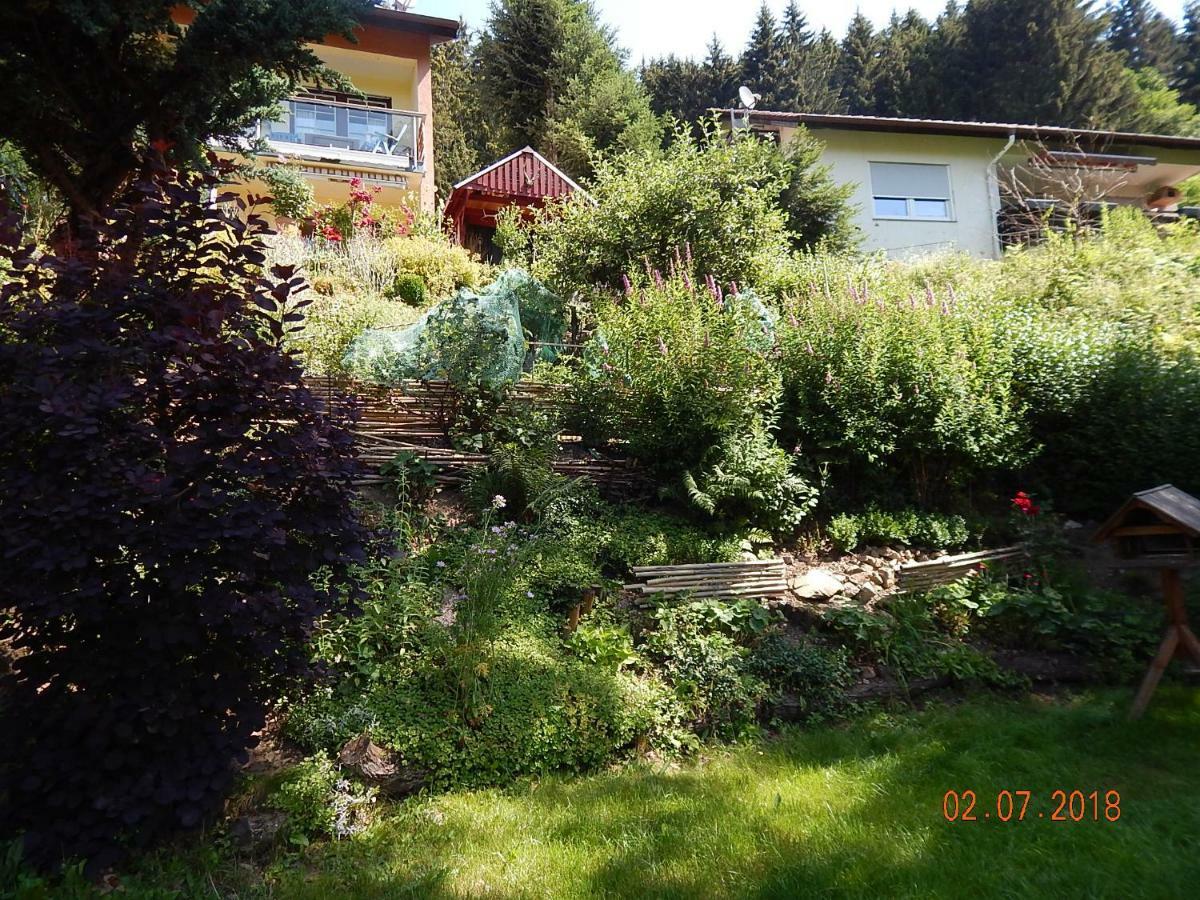 Haus Wiesental Kleines Wiesental エクステリア 写真