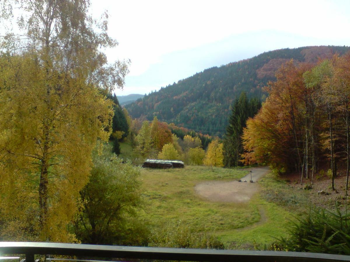 Haus Wiesental Kleines Wiesental エクステリア 写真