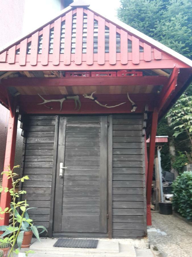 Haus Wiesental Kleines Wiesental エクステリア 写真
